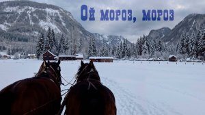 ❄️ Ой, мороз, мороз. Зима близко, дорогие подписчики!