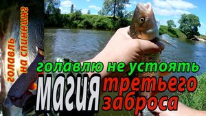 Голавль на каждом третьем забросе...Ловля голавля на спиннинг. Рыбалка в начале лета.