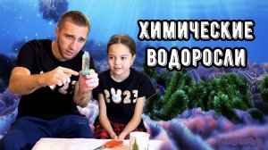 ХИМИЧЕСКИЕ ВОДОРОСЛИ