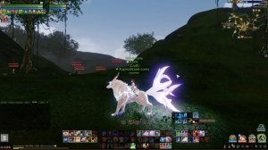 Огненный лис и белоснежная лисица