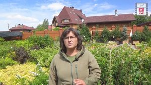 Цветущие кустарники которые не радуют.Часть 2. Дейция