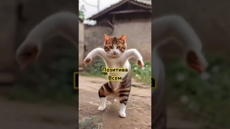 30 июня 2024 г.