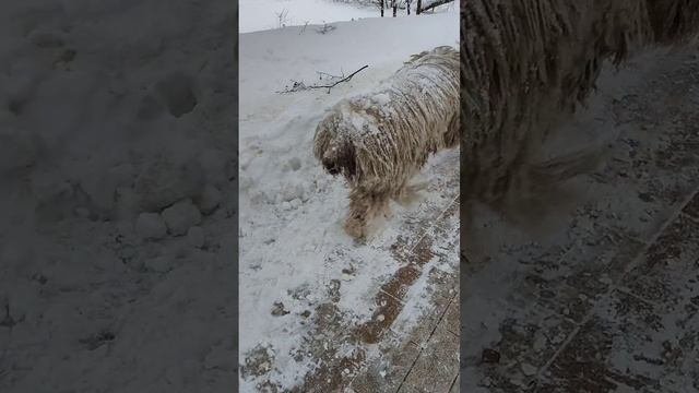 Снеговик ⛄