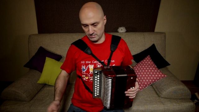 Обзор двух Hohner'ов - ирландская музыка