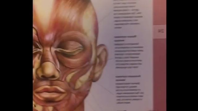 Как вернуть молодость губам и сделать их больше. смотреть онлайн