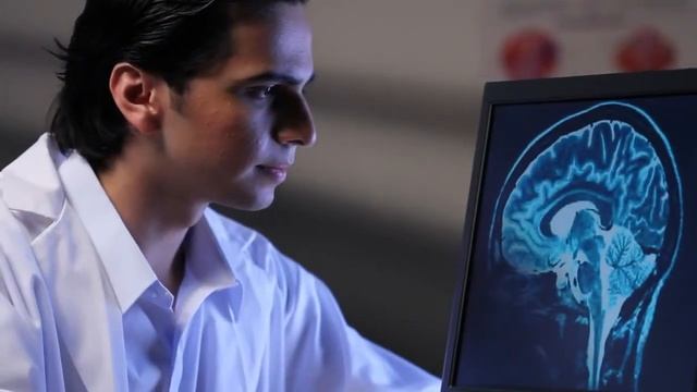 Вот, Из Чего Состоит Мозг! смотреть онлайн