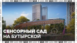 Сенсорный сад появится в Бутырском районе Москвы - Москва 24