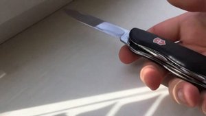 Victorinox Forester 0.8363.3