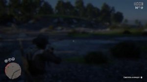 Восточный гриф-индейка