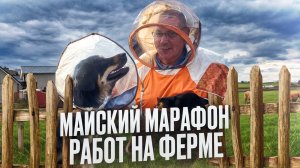 Майский марафон работ на ферме: телочки, картошка, козы и бараны.  "Мое Подворье"