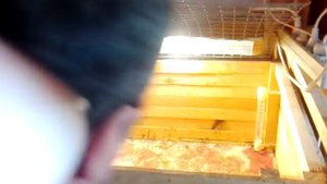 Ящик для цыплят и замена подстилки