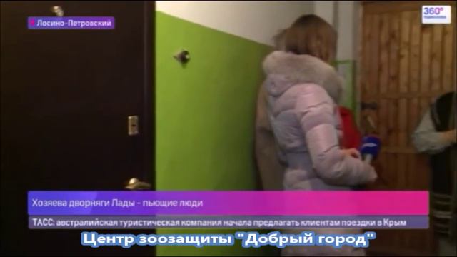 Новогоднее заточение