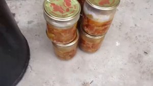 Самодельный автоклав из газового балона