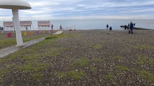 Сочи Хоста Отдых в Октябре. Пусть тучки разойдутся и выглянет Солнце. Болталка