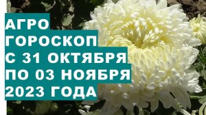 Агрогороскоп с 31 октября по 03 ноября 2023 годаAgrohoroscope from October 31 to November 3, 2023