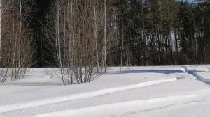 Снегокат Игорыч-2. Работа вариатора.