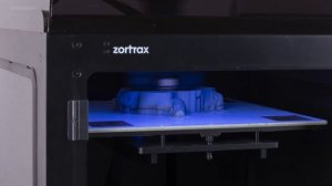 Zortrax M300 Plus 3D Printer | Timelapse of 3D Printing an Educational Model with Z-ABS Material