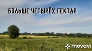 Участок земли 4 гектара.