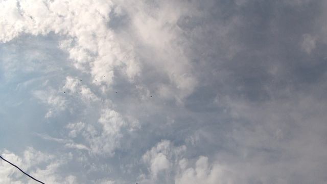 26 августа НИКОЛАЕВСКИЕ ГОЛУБИ смотреть онлайн