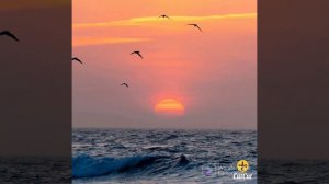 Нык матур жыр. Хаерле ирта! Бахет шатлык тазалыклар тынычлыклар озын гомер телим