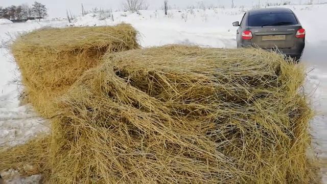023 - Подарок от доброго человека. смотреть онлайн