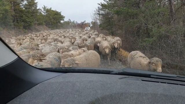 Веселые барашки на горных дорогах смотреть онлайн