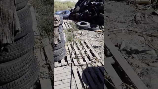 Камер R16 смотреть онлайн