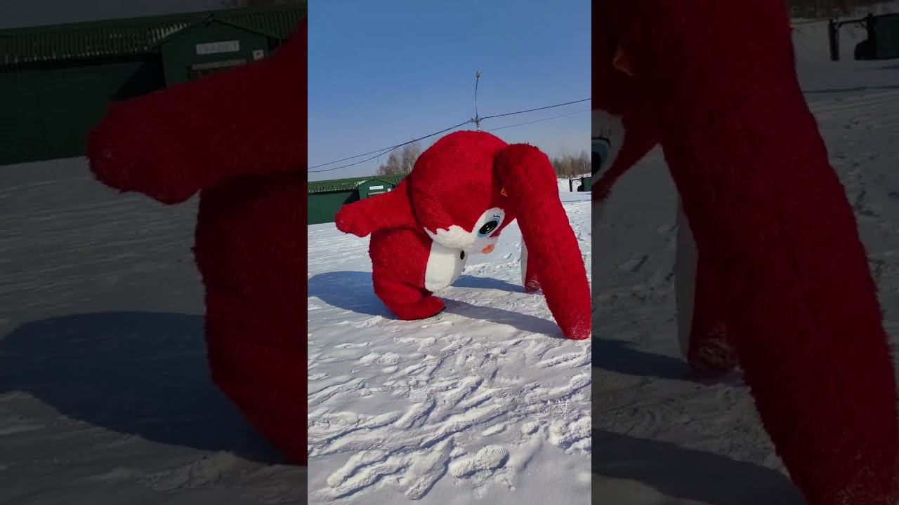 Да придет к вам Зайчик -обнимаш) #shortsclip #аниматоры #весело #зелье #топ #youtube #дети смотреть онлайн