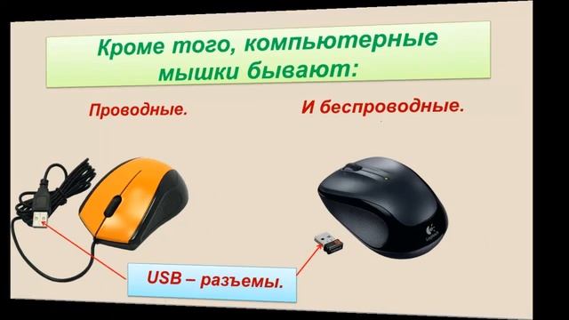 Конструктивные особенности компьютерных мышей.