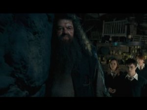 Гарри Поттер и орден Феникса