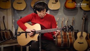 Parkwood 어쿠스틱기타 GA48 사운드 샘플