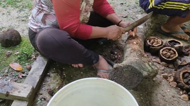 Doce de CASTANHA-DO-BRASIL! Barcelos-Amazonas смотреть онлайн