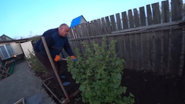 ВЕЧЕР на ДАЧЕ/Курица НА КОСТРЕ/ВОЗДУХ сводит с УМА/ШОК еще ПРЕСЛЕДУЕТ/САНЬКА надо БЕРЕЧЬ#НАДАЧУ# смотреть онлайн