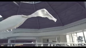 Натан и Тимати-Дерзкая