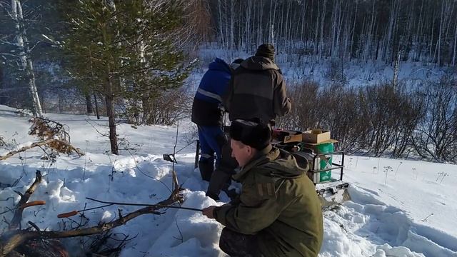 Мотобуксировщик Forza 15-ЕДЕМ ПО ЧАЩЕ. #лес#природа#отдых# смотреть онлайн