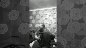 белая горячка сектор газа гармонь)))