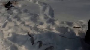 Подледная ловля ленка на поплавочную удочку.