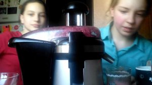 Соковыжималка. Делаем гранатовый сок 4#
