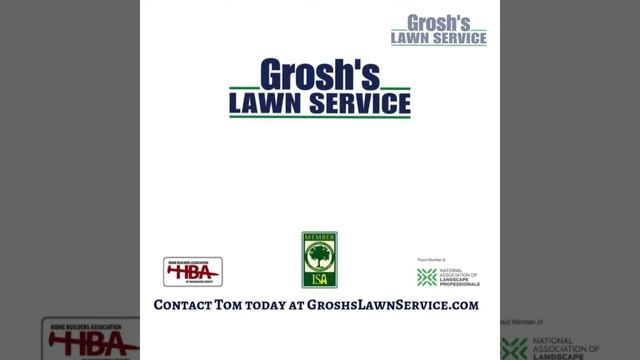 Ailanthus Tree Service Williamsport MD Landscaping Contractor Washington County Maryland смотреть онлайн