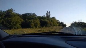 ПОЕЗДКА НА ОЗЕРО ЧЁРНЫХ ИСТОРИЙ.(ЧЕРНОБАЕВСКОЕ)