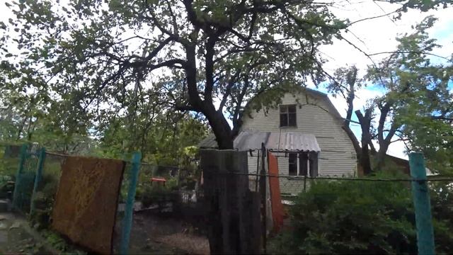 По берегу реки Самары. Днепропетровская область.