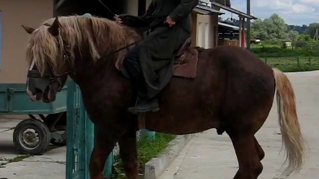 Подсобное хозяйство Оптиной Пустыни смотреть онлайн