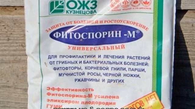 Чем заменить фитоспорин в домашних условиях
