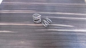 Вариант выполнения пригруза для роголистника.