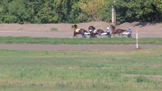 9.08.2020г. Барнаул  Кубок губернатора Алтайского края рысистых   стар. возраста 1600м (2гит)