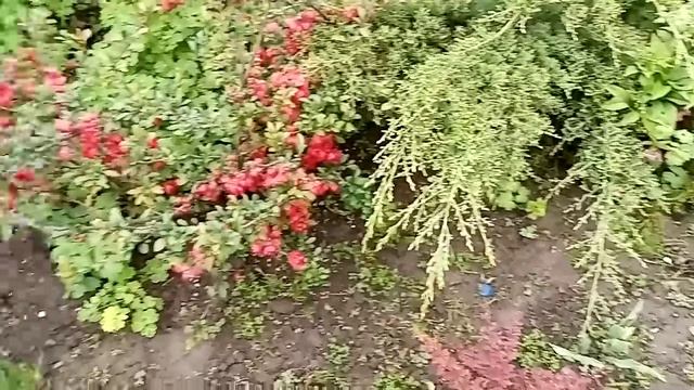 Оформляем входную зону. Прошло 2 года, работа продолжается. смотреть онлайн