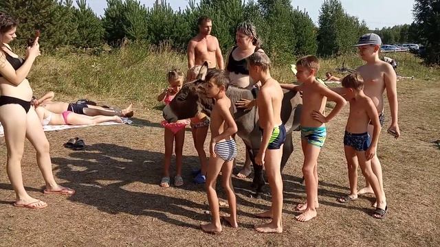 Ослик на Шабровском пруду. Первая серия. 24.08.2021 г. смотреть онлайн