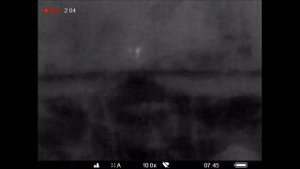 Работа тепловизора PULSAR в реальном лесу