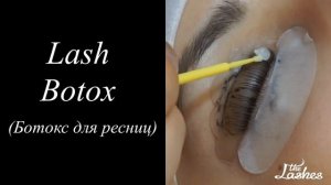 Ботокс ресниц этапы процедуры (Lash Botox)