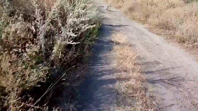 Прохват на Чезет по насыпи  железной дороги смотреть онлайн